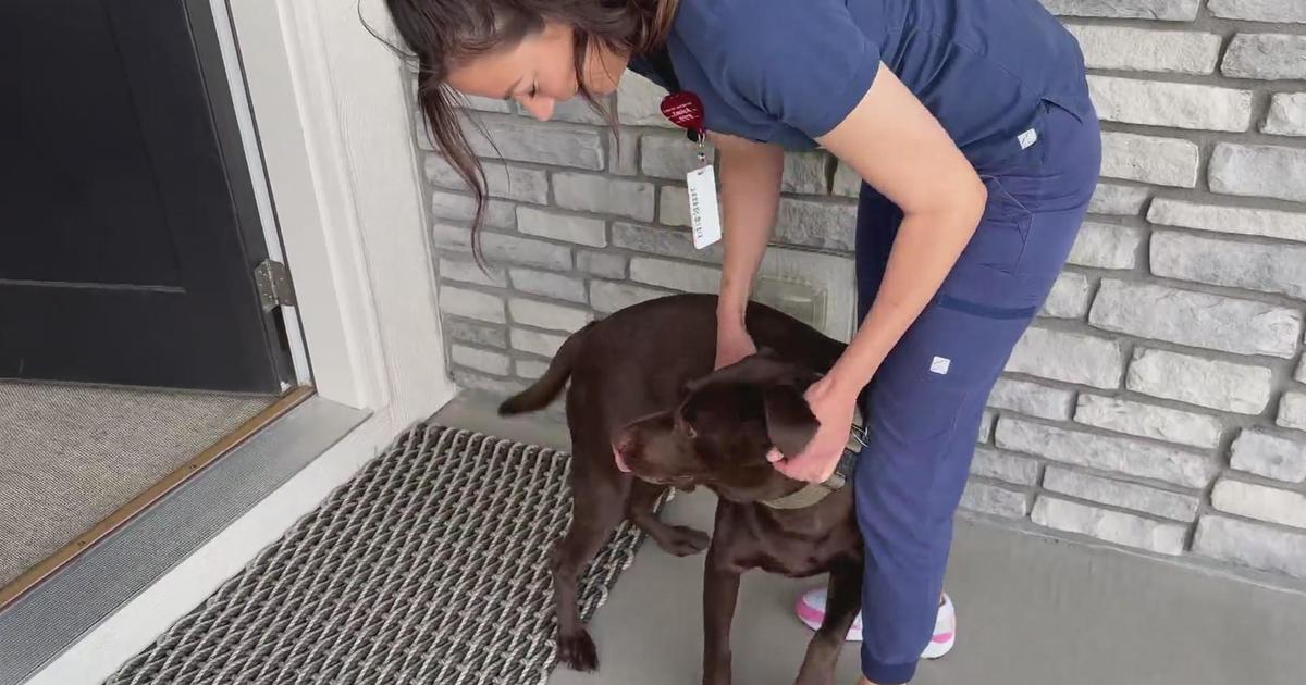 Colorado ER nurse helps abused dogs check off bucket list items