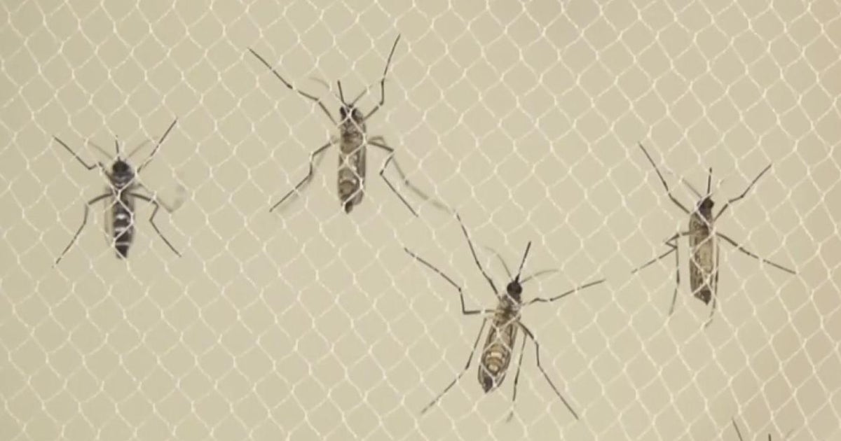 Officials warn of surge in summer mosquitoes in Sacramento