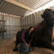 The Gentle Barn: Where animal rescue meets human therapy