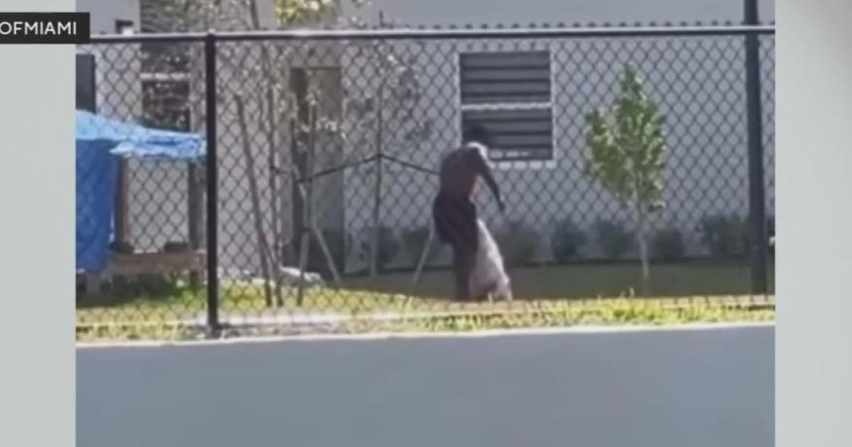 Miami man caught on video abusing dog