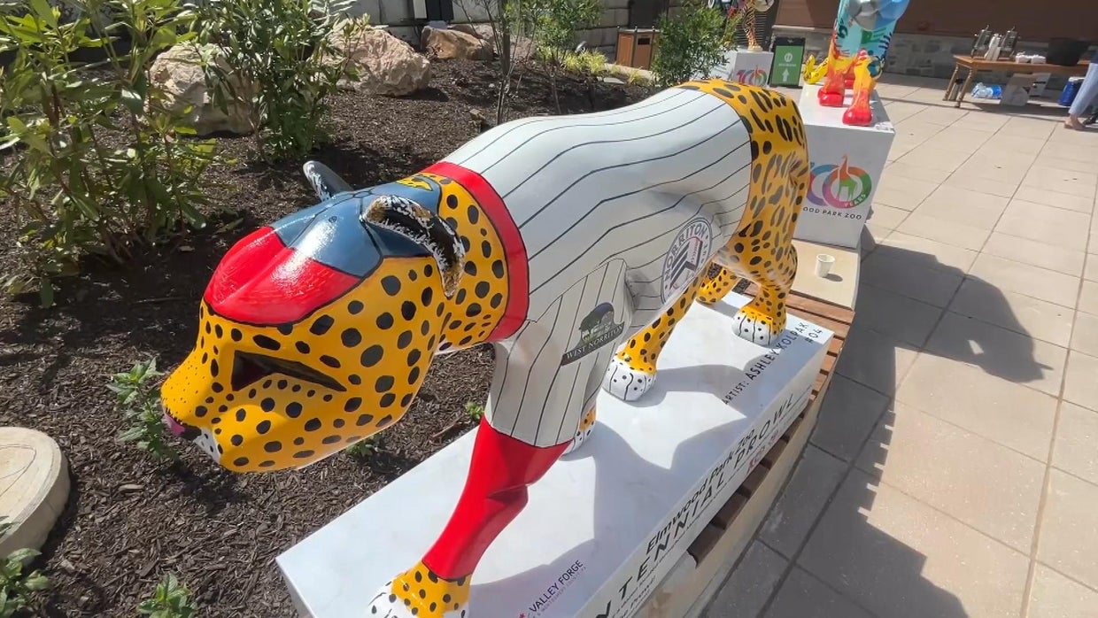 Colorful jaguar statues unveiled at Elmwood Park Zoo to be installed ...