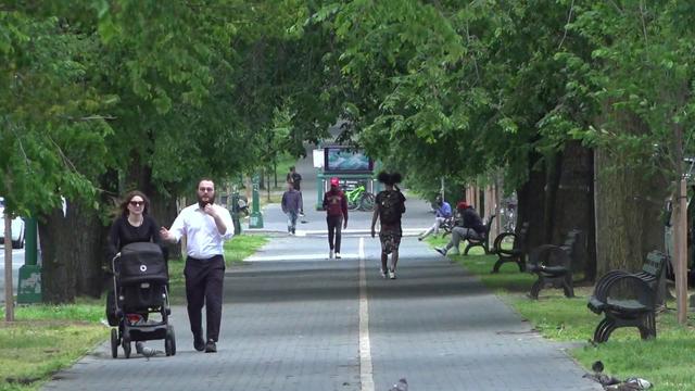Pedestrians walk along a tree-lined path in New York City. 