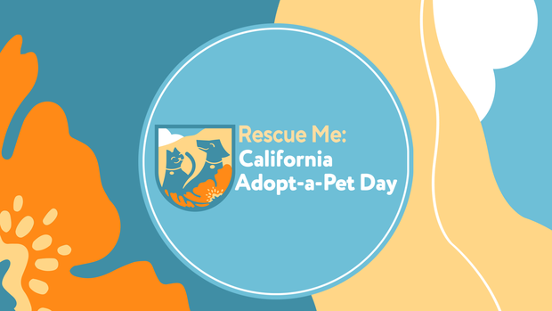 16x9-mon-rescue-me-calif-adopt-a-pet-day.png 