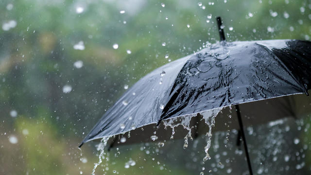 It's raining heavily, wearing an umbrella during the rainy season 