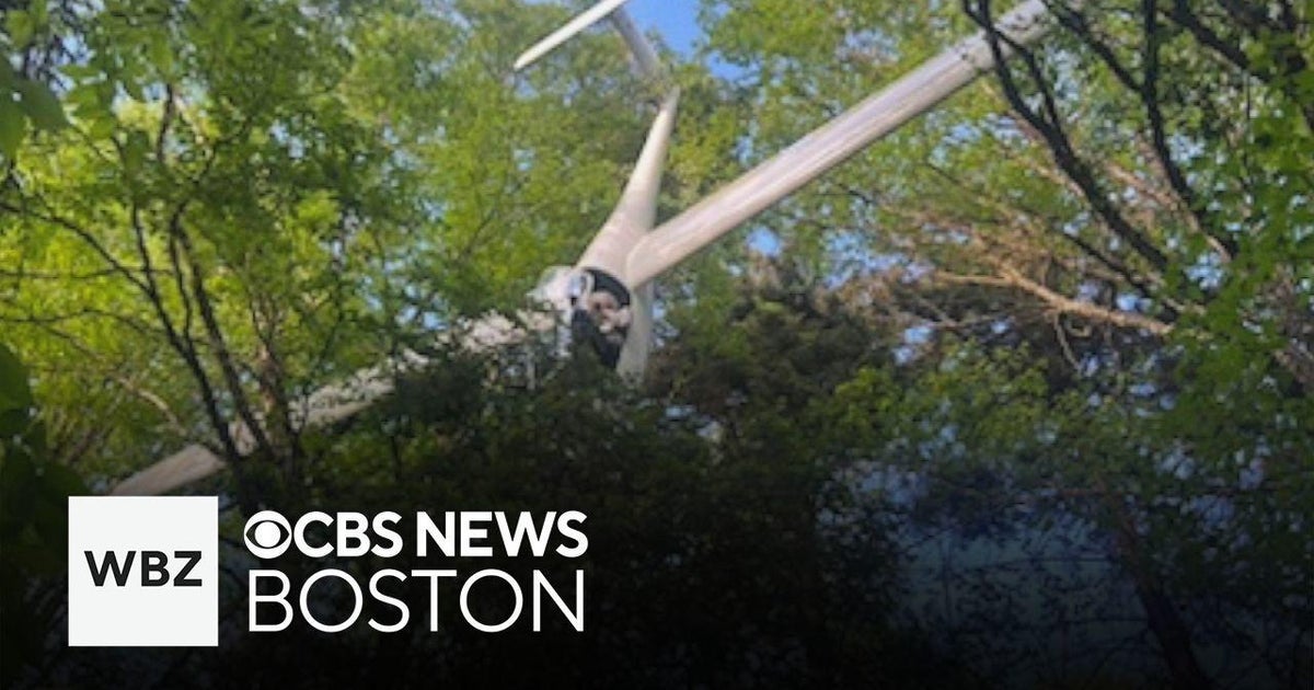 Man rescued from tree after New Hampshire glider crash - CBS Boston