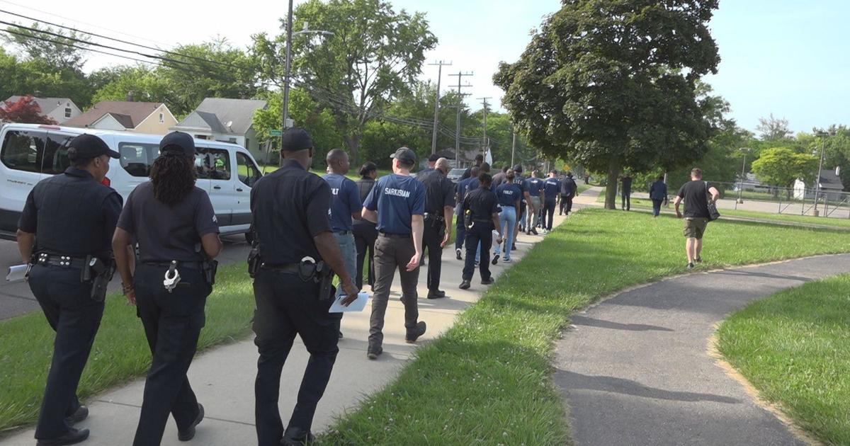 “Peacenic” returning to Detroit neighborhoods for third straight year in June