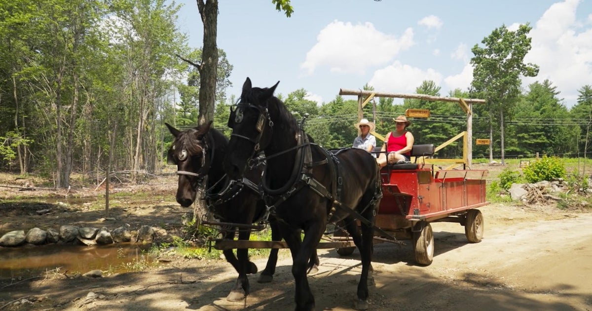Go horseback riding year-round at Princeton's Cornerstone Ranch - CBS ...