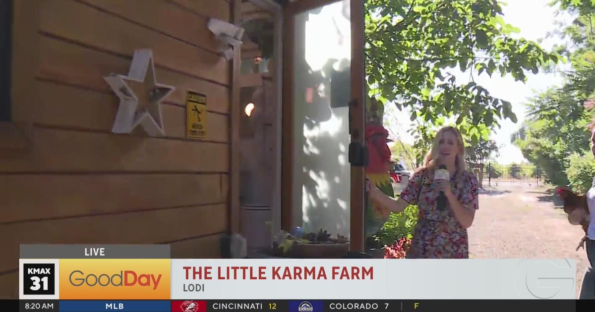 The Little Karma Farm in Lodi - Good Day Sacramento