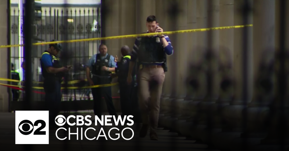 Woman randomly stabbed outside Chicago's Union Station released from ...