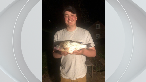 kdka-record-white-perch.png 