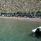 Search underway for British doctor missing on Greek island