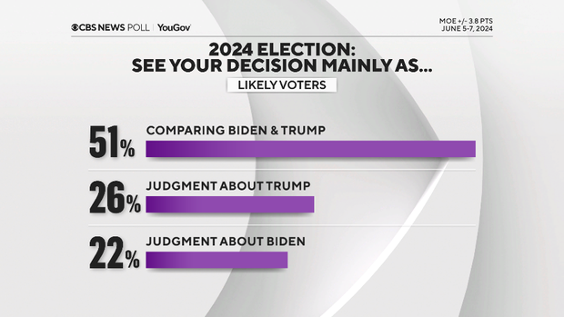 describe-decision-2024.png