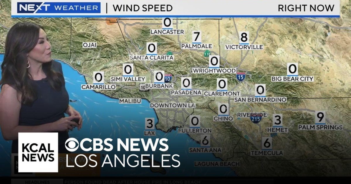 Amber Lee's Morning Weather (June 11)