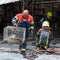 Puppies, birds among hundreds of caged animals killed in fire