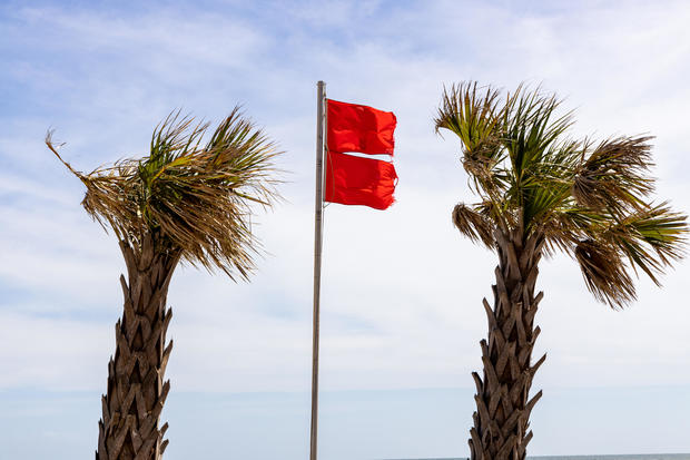 Double red flag warning on a beach framed between two palm trees 