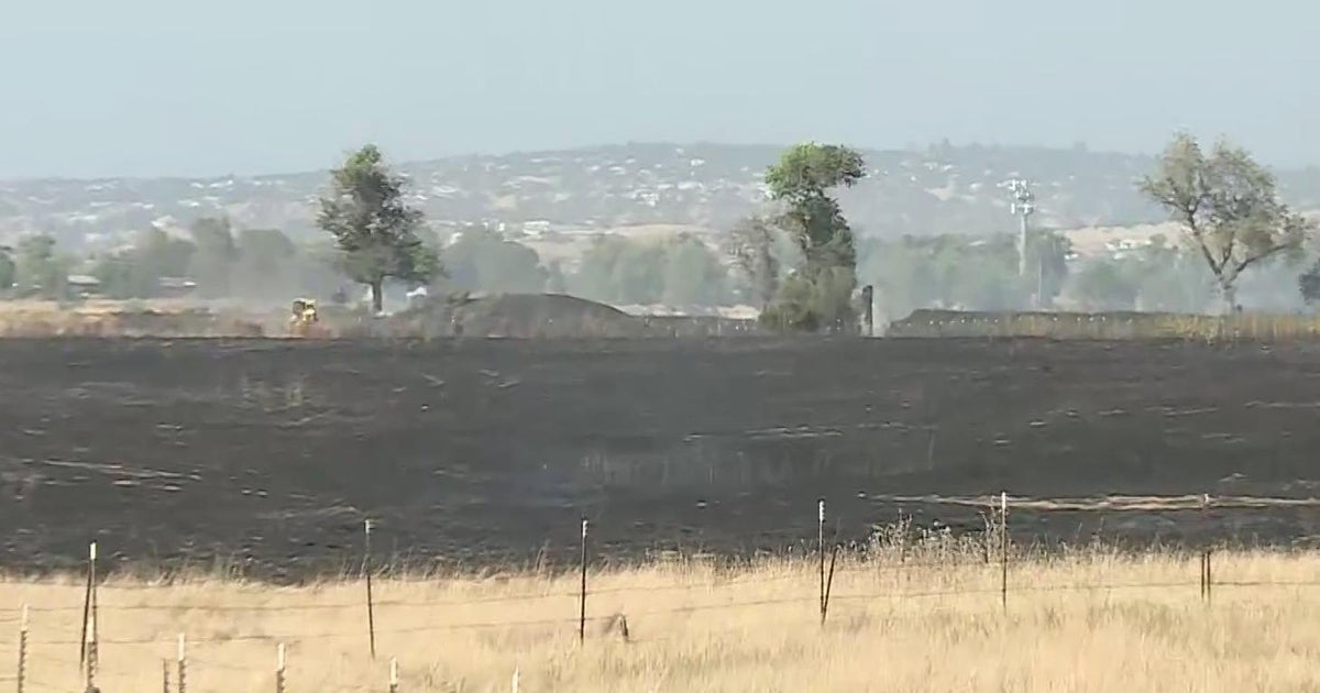 Forward progress of vegetation fire in Sacramento County stopped at 119 acres