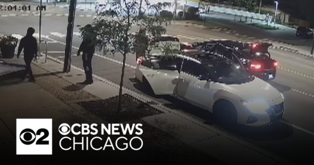 Burglars rip down security shutters, steal from Chicago liquor store ...