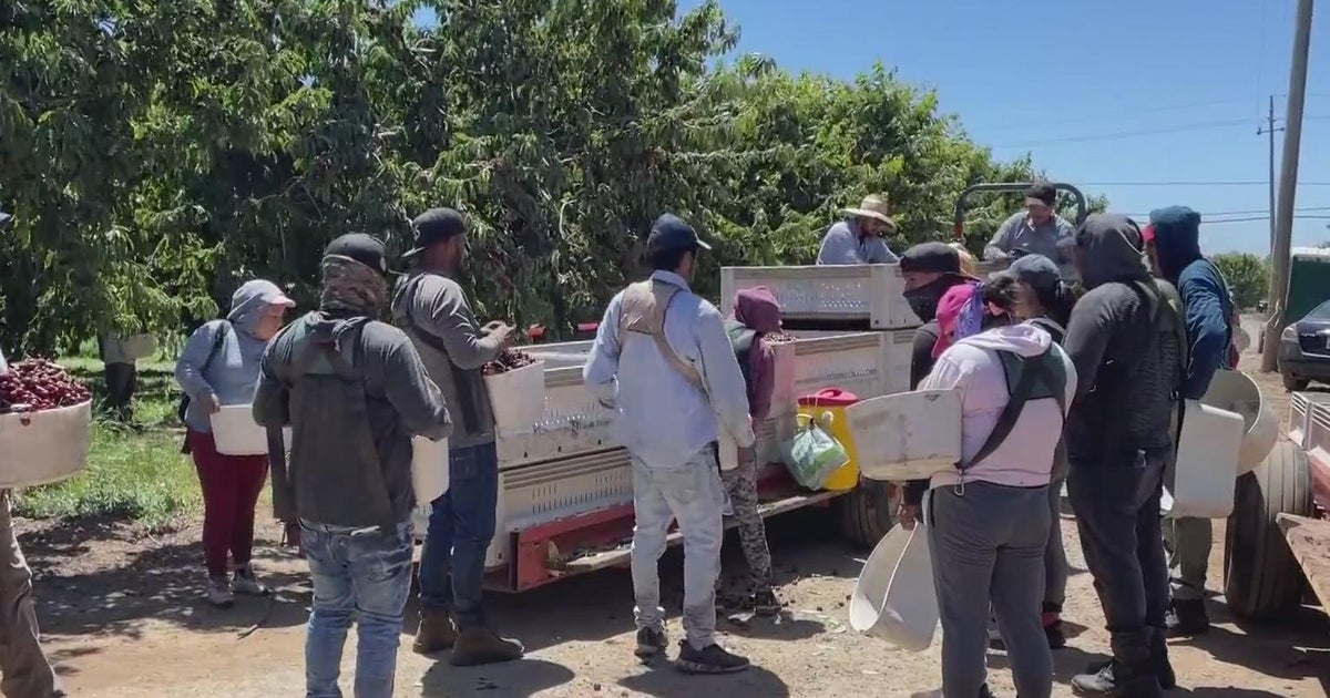 New California bill could pay farmworkers when disasters force them to stop work