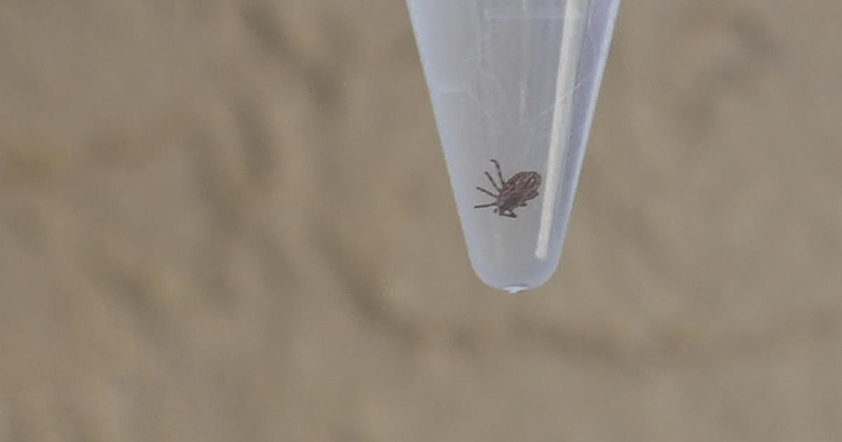 Hunters collaborate with researchers to better understand tick-borne illnesses