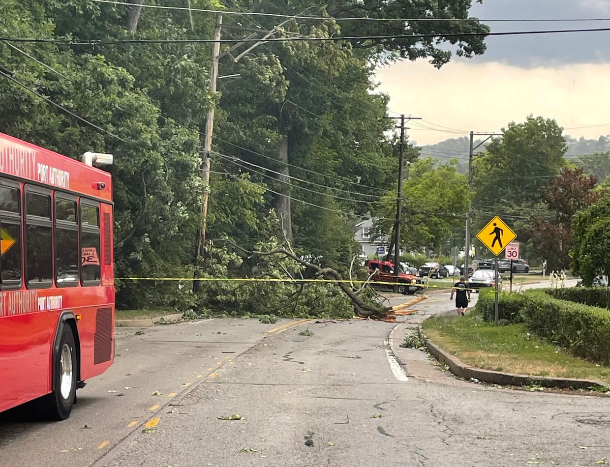 Photos show damage after storms roll through Pittsburgh area