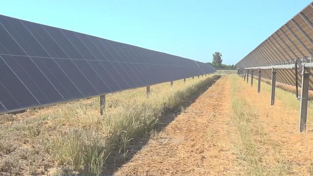 lodi-farmer-solar-panels.jpg 