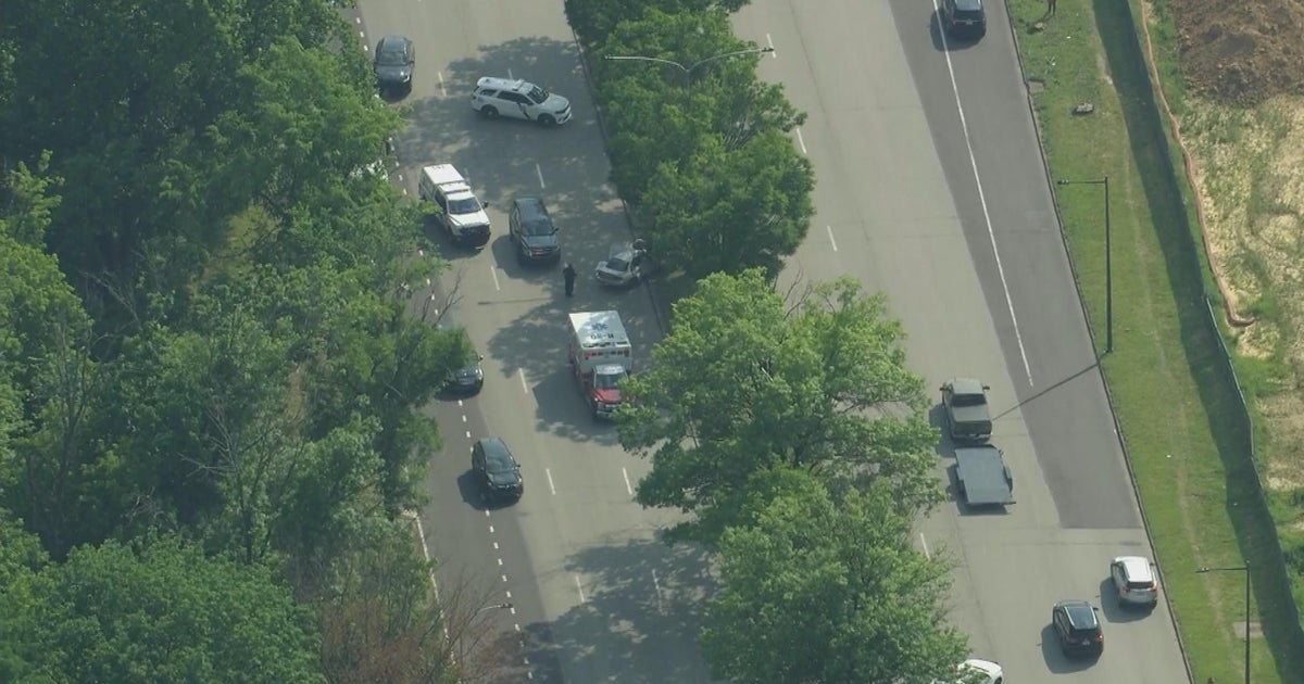 Woman dies after car crashes into tree on Roosevelt Boulevard in ...