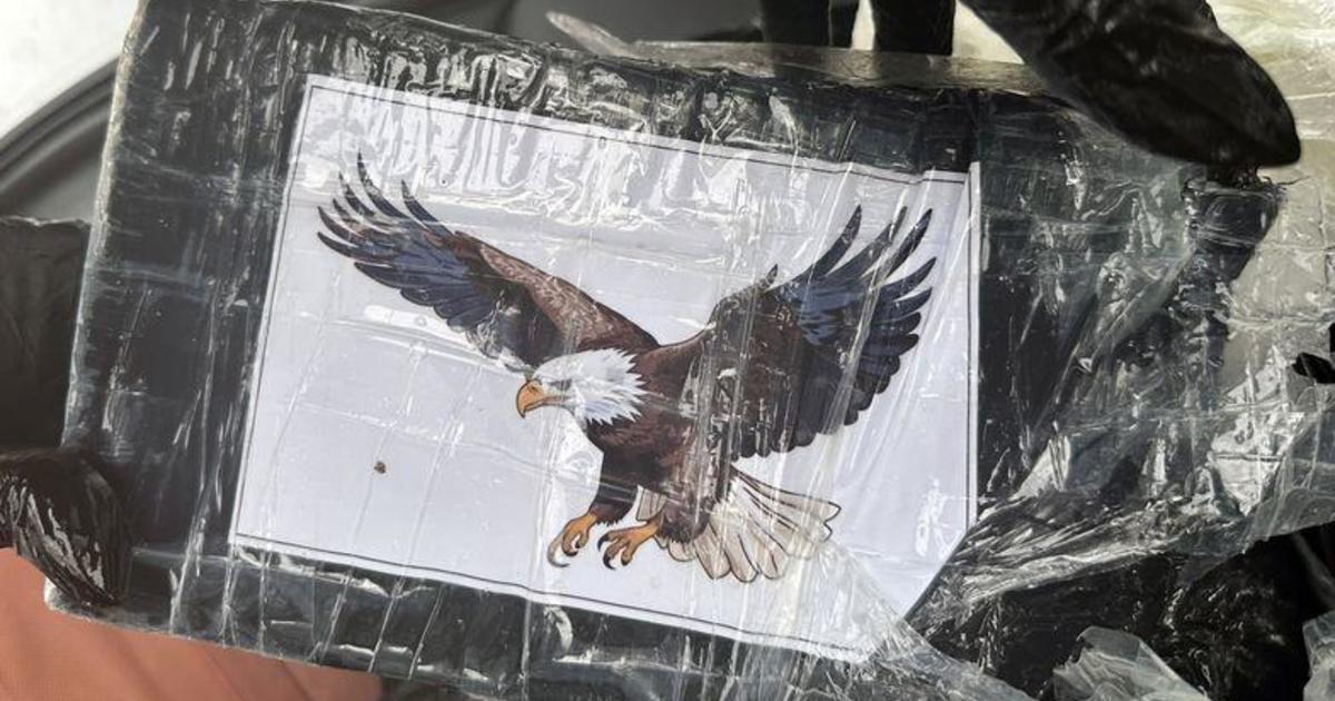 Read more about the article Boaters find over $1 million worth of cocaine – wrapped in bald eagle motifs – floating off the Florida Keys