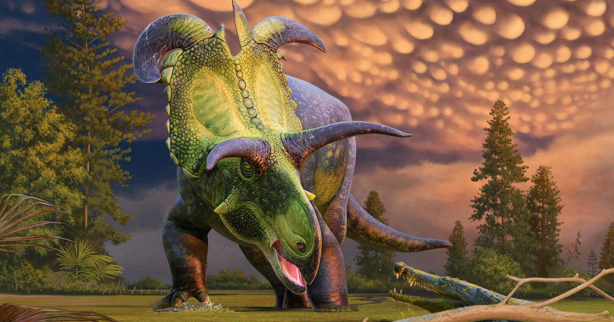 Read more about the article Find out why Lokiceratops, a new dinosaur, was named after a Norse god by experts from Colorado and Utah