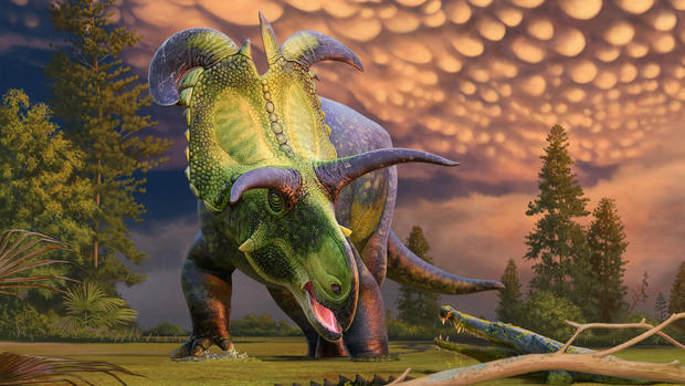 lokiceratops-2.jpg 
