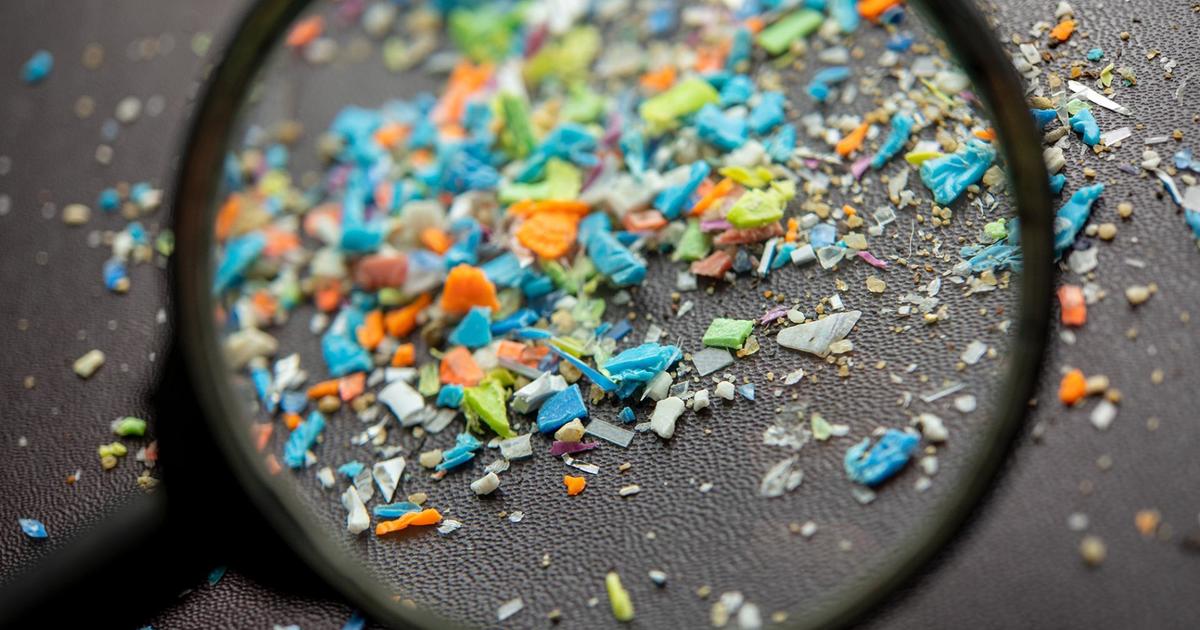 How dangerous are microplastics and how often do people ingest them?