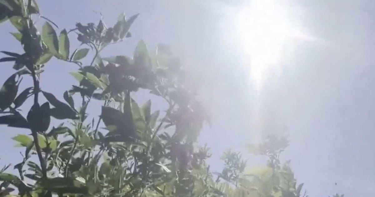 Tens of millions suffering through brutal heat wave across Midwest and ...