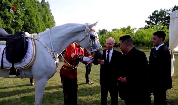 A screengrab from video aired by North Korean state TV on June 20, 2024 shows the country's leader Kim Jong Un feeding a horse as visiting Russian President Vladimir Putin looks on