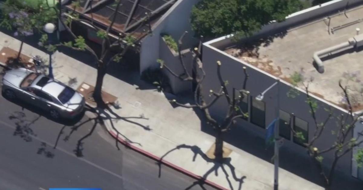 City of West Hollywood files vandalism report for illegally cut trees