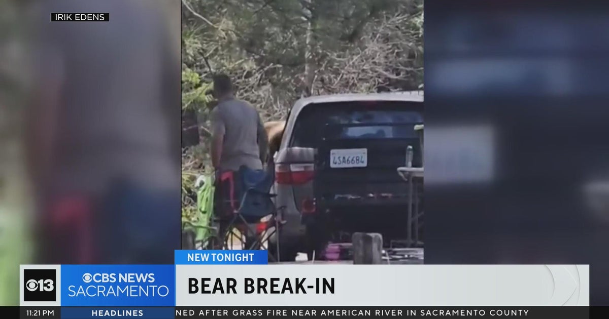 Bear breaks into minivan while Cool couple celebrates anniversary with camping trip