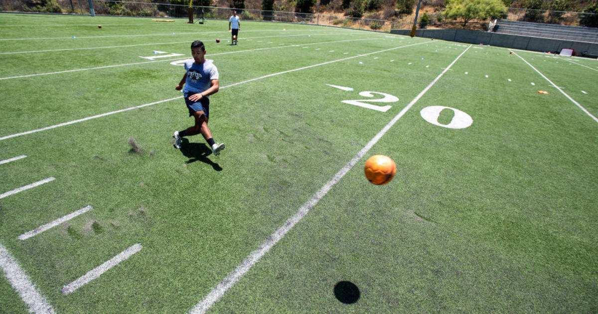 LA Council Committee continues proposal for ban on artificial grass