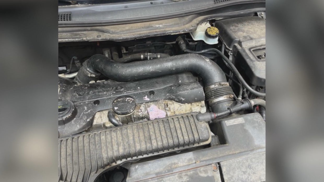 18pkg-rs-south-philly-rat-problem-frame-692.jpg 