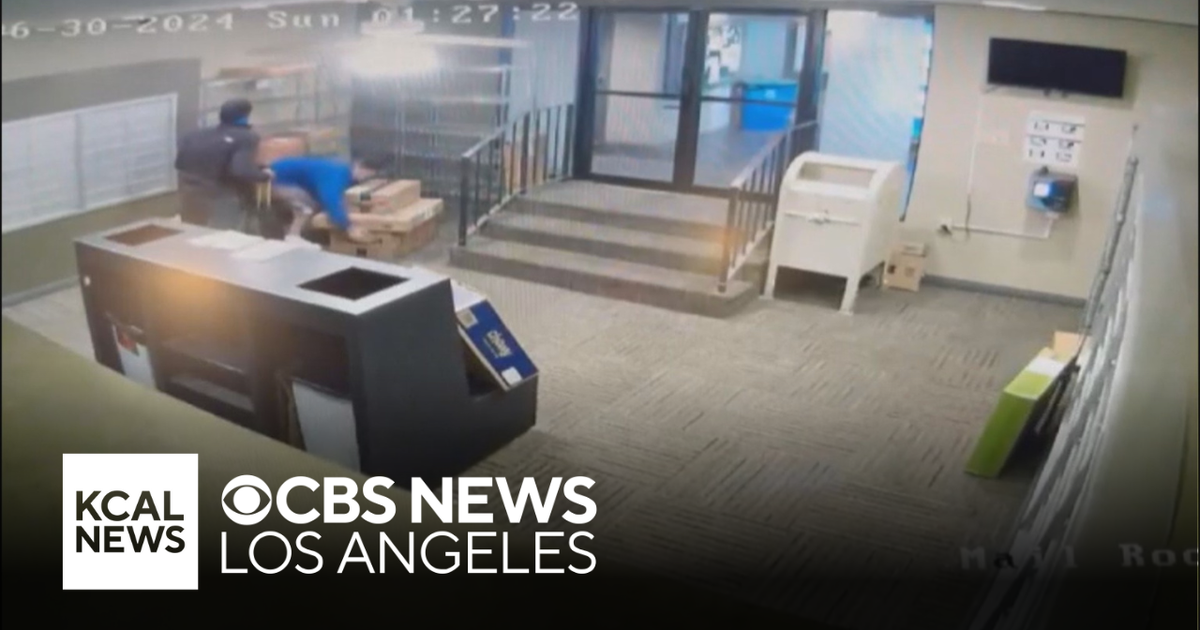 Brazen burglars caught on camera ransacking mailroom at West Hollywood ...