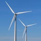 Trump administration aims to revoke permit for offshore wind project, court filing shows 