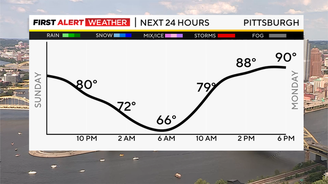 next-24-hours-temp-line-weather-bars-camera-3.png