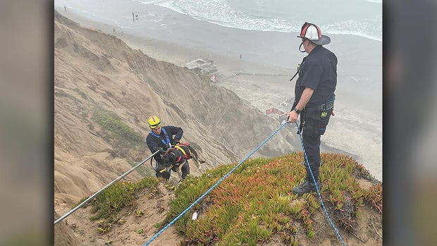 Dog Cliff Rescue at Fort Funston 