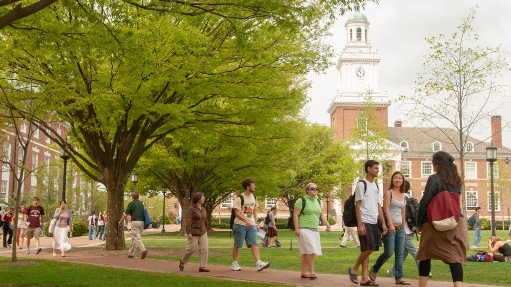 Johns Hopkins medical school will be free for most thanks to $1 billion from Bloomberg Philanthropies