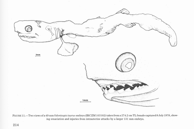 captura de tela-2024-07-08-at-13-24-05-pm.png