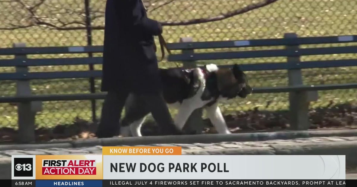 Sacramento polls residents on new dog park plans