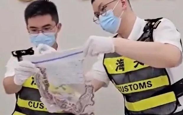 Man caught smuggling 100 live snakes in his pants, Chinese officials say