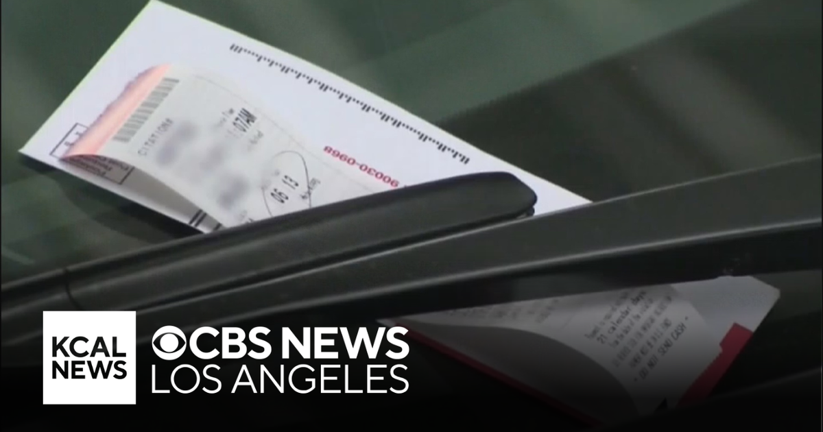 New report details the 922,000 parking tickets issued through Los