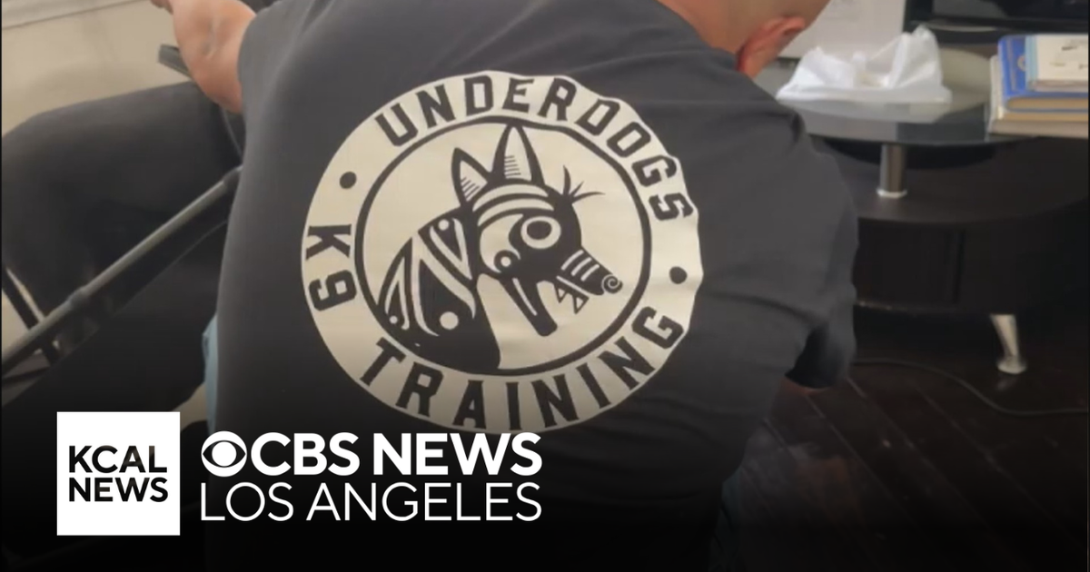 Former inmate given second chance as canine trainer - CBS Los Angeles