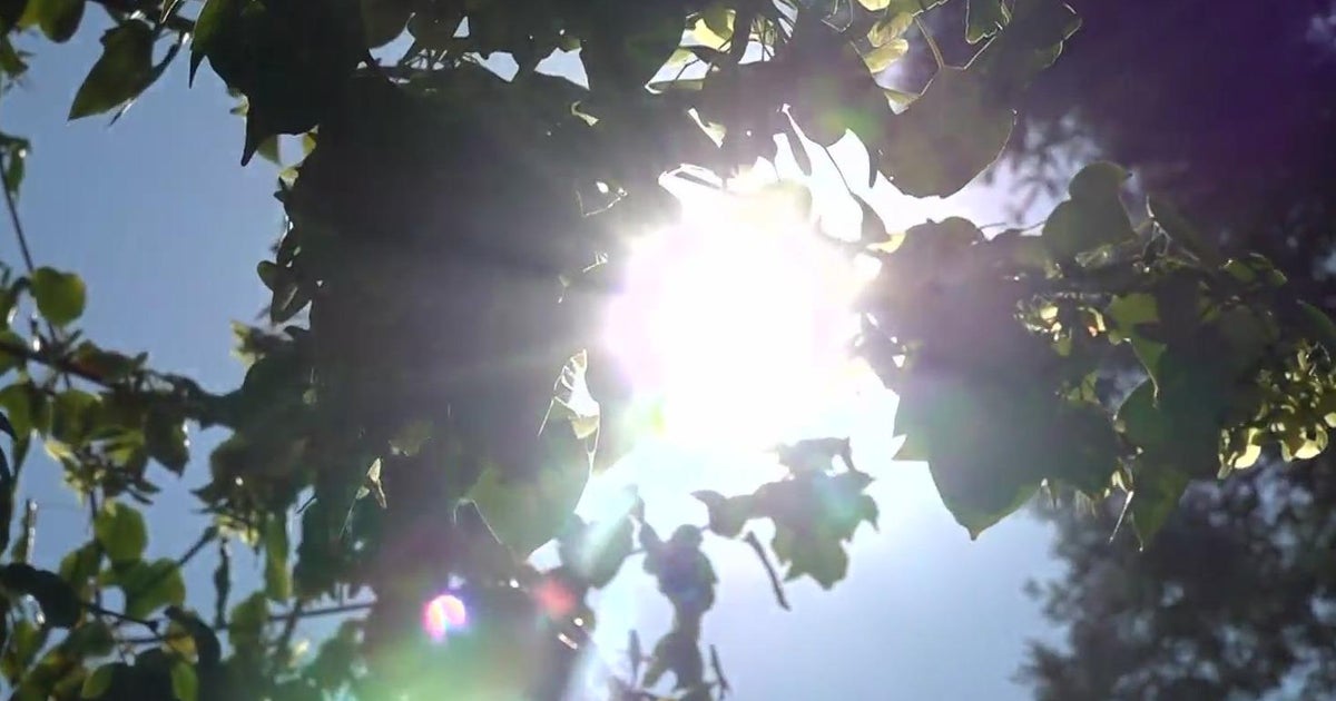 Davis secures grant for cooling pavement project to curb extreme heat