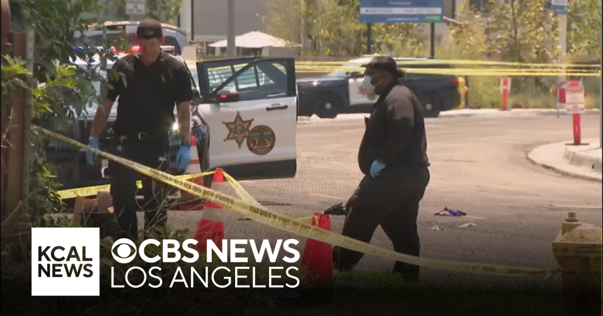41-year-old man accused of decapitating parents and family dog in San ...