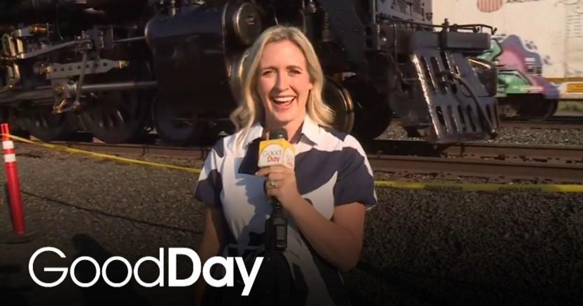 We're checking out the world's largest steam locomotive!