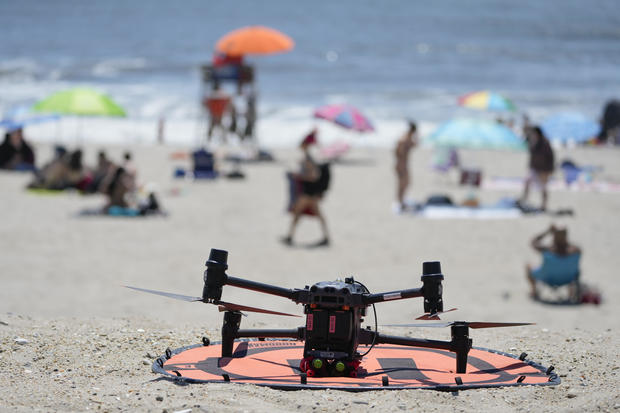 Drone Beach Bird Attacks 
